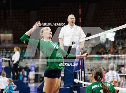 Thumbnail 2 in Pine Creek vs. Cherokee Trail (CHSAA 5A Round 1) photogallery.