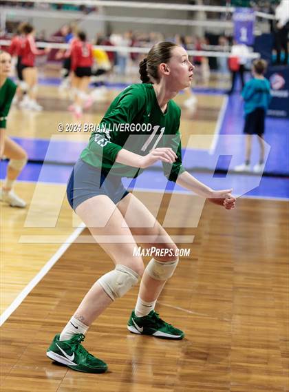 Thumbnail 1 in Pine Creek vs. Cherokee Trail (CHSAA 5A Round 1) photogallery.
