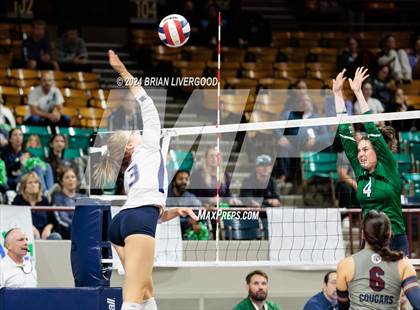 Thumbnail 3 in Pine Creek vs. Cherokee Trail (CHSAA 5A Round 1) photogallery.