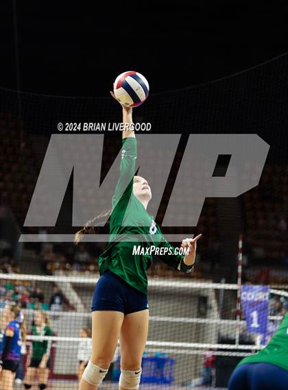 Thumbnail 2 in Pine Creek vs. Cherokee Trail (CHSAA 5A Round 1) photogallery.