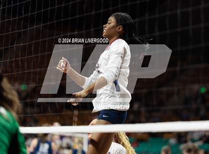 Thumbnail 1 in Pine Creek vs. Cherokee Trail (CHSAA 5A Round 1) photogallery.