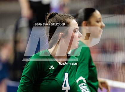 Thumbnail 3 in Pine Creek vs. Cherokee Trail (CHSAA 5A Round 1) photogallery.