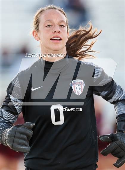 Thumbnail 1 in Hamilton @ Perry (AIA 6A Quarterfinals) photogallery.
