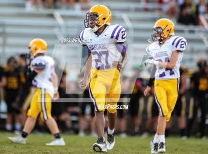 Thumbnail 1 in FR: DeSoto Central @ Hernando photogallery.