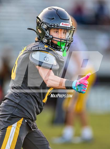 Thumbnail 2 in FR: DeSoto Central @ Hernando photogallery.