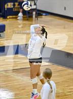 Photo from the gallery "Greenfield-Central @ Delta"