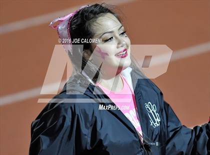 Thumbnail 2 in Churchill vs Johnson [Claudia Taylor]  photogallery.