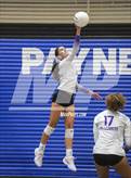 Photo from the gallery "Chandler vs. Millennium (House of Payne Tournament)"