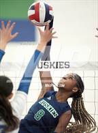 Photo from the gallery "Fairfax @ Flint Hill"