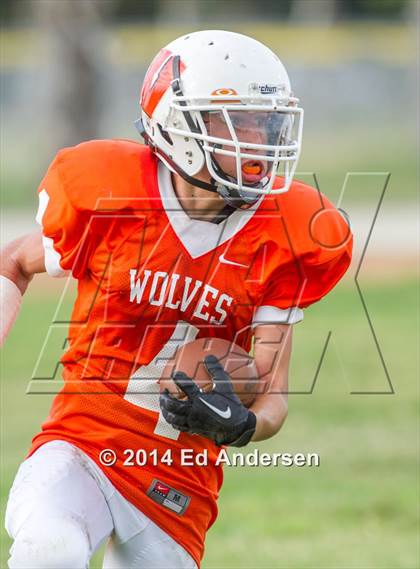 Thumbnail 2 in Dixon @ Woodland photogallery.