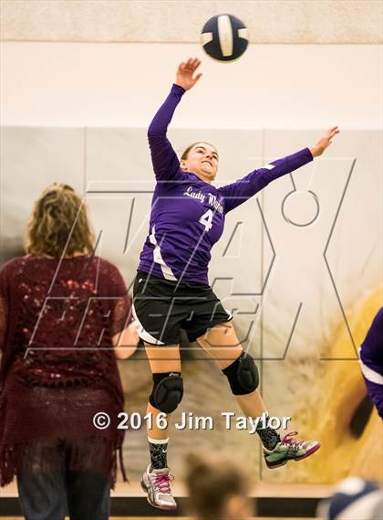 Thumbnail 2 in Community Christian vs Victory Baptist Academy (TCA Volleyball Tournament)  photogallery.