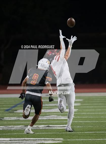 Thumbnail 3 in Segerstrom @ El Modena photogallery.
