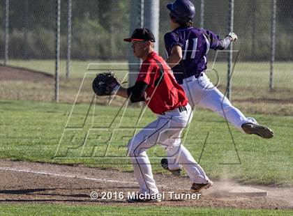 Thumbnail 1 in Shasta @ Foothill photogallery.