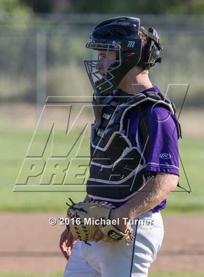 Thumbnail 2 in Shasta @ Foothill photogallery.