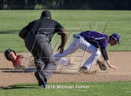 Thumbnail 1 in Shasta @ Foothill photogallery.