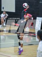 Photo from the gallery "West Point @ Williams Field"