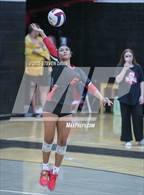 Photo from the gallery "West Point @ Williams Field"