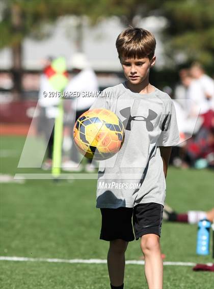 Thumbnail 2 in Terrebonne @ E. D. White photogallery.