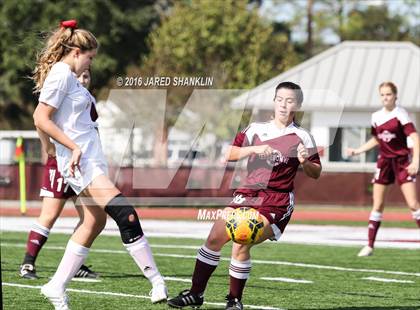 Thumbnail 2 in Terrebonne @ E. D. White photogallery.