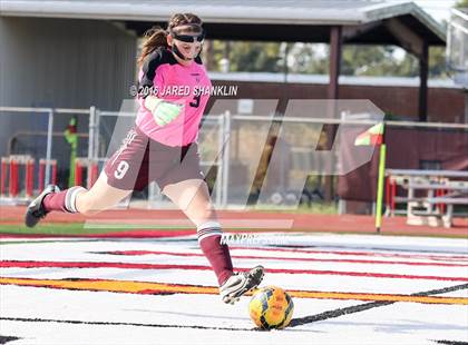 Thumbnail 3 in Terrebonne @ E. D. White photogallery.