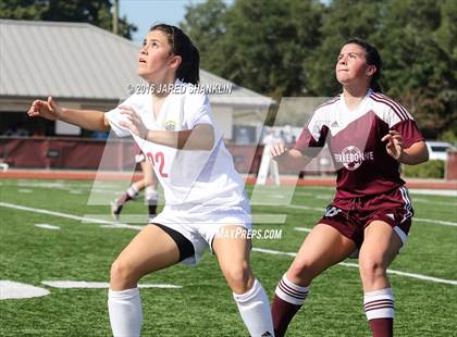 Thumbnail 3 in Terrebonne @ E. D. White photogallery.
