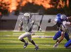 Photo from the gallery "Sunnyside @ Apollo"