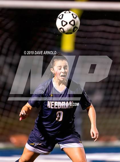Thumbnail 1 in Wellesley @ Needham (MIAA Division1 South Quarter Final) photogallery.