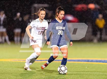 Thumbnail 1 in Wellesley @ Needham (MIAA Division1 South Quarter Final) photogallery.