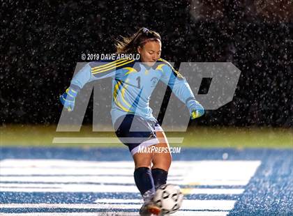 Thumbnail 3 in Wellesley @ Needham (MIAA Division1 South Quarter Final) photogallery.