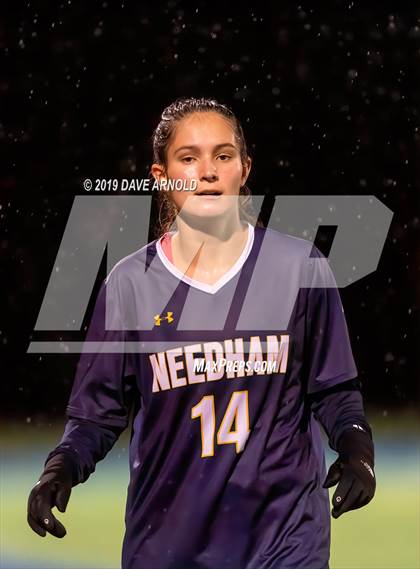 Thumbnail 1 in Wellesley @ Needham (MIAA Division1 South Quarter Final) photogallery.