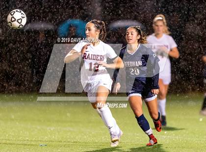 Thumbnail 1 in Wellesley @ Needham (MIAA Division1 South Quarter Final) photogallery.