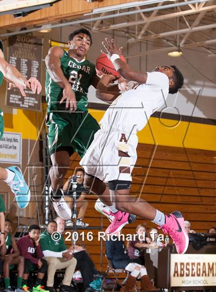 Thumbnail 1 in Cedar Creek @ Absegami photogallery.