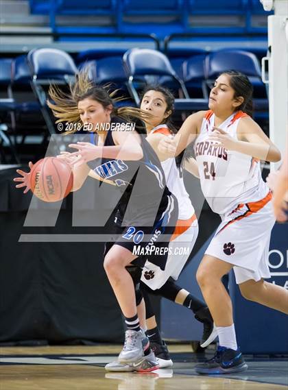 Thumbnail 3 in Pahranagat Valley vs. Wells (NIAA 1A Final) photogallery.