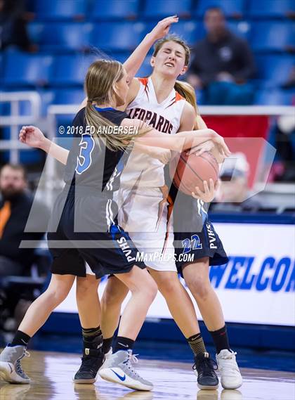 Thumbnail 2 in Pahranagat Valley vs. Wells (NIAA 1A Final) photogallery.