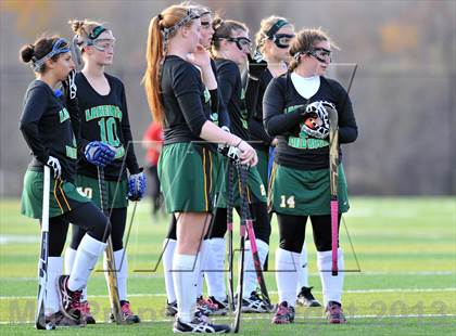 Thumbnail 1 in Lakeland vs Rye (Section 1 Class B Final) photogallery.