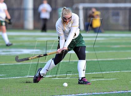 Thumbnail 1 in Lakeland vs Rye (Section 1 Class B Final) photogallery.