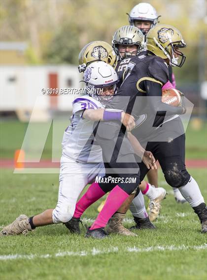 Thumbnail 1 in Royalton-Hartland @ Kennedy photogallery.