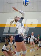 Photo from the gallery "Arizona Lutheran Academy vs. Pusch Ridge Christian Academy"