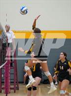 Photo from the gallery "Arizona Lutheran Academy vs. Pusch Ridge Christian Academy"