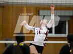 Photo from the gallery "Healdsburg @ Piner"