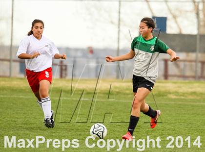 Thumbnail 1 in D'Evelyn @ Arvada photogallery.