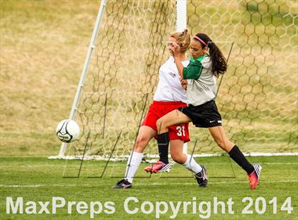 Thumbnail 3 in D'Evelyn @ Arvada photogallery.