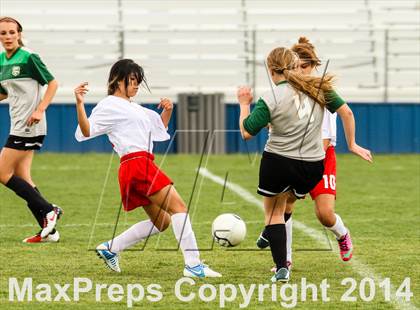 Thumbnail 1 in D'Evelyn @ Arvada photogallery.