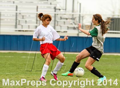 Thumbnail 2 in D'Evelyn @ Arvada photogallery.