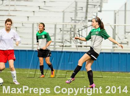 Thumbnail 3 in D'Evelyn @ Arvada photogallery.