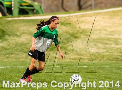 Thumbnail 3 in D'Evelyn @ Arvada photogallery.