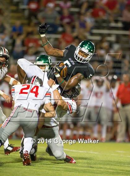 Thumbnail 1 in Marcus @ Arlington photogallery.
