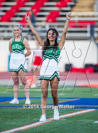 Thumbnail 3 in Marcus @ Arlington photogallery.