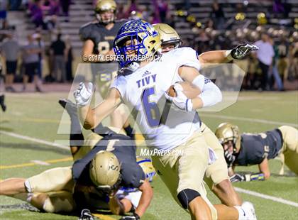 Thumbnail 2 in Tivy @ Seguin photogallery.