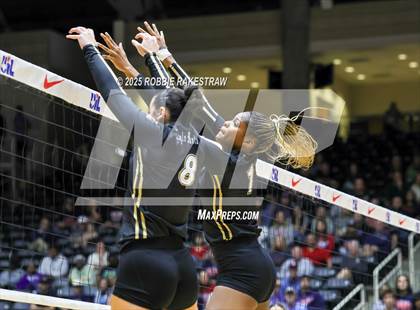 Thumbnail 3 in Wimberley vs. Eagle Mountain (UIL 4A D2 Volleyball Final) photogallery.